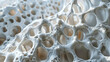 Calcium Creative 3D imagery showing strengthening bones beneath healthy