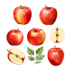 Wall Mural - A set of six apples with one of them cut in half