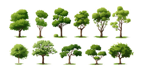 Wall Mural - field trees set isolated vector style with transparent background illustration