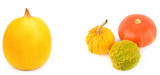 Fototapeta Na ścianę - A set of Pumpkins isolated on a white. Wide photo. Collage. Free space for text.