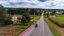 Aerial View Of An Amish Horse And Buggy Travel On A Countryside Road, Passing Corn Fields