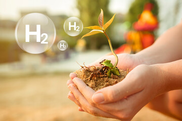 young volunteers hold saplings and h2-hydrogen icon. plantations for sustainable energy resources.