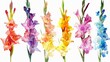 Watercolor foxglove clipart with tall spires of colorful flowers , 3D render