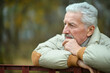 © aletia2011 - Portrait of thoughtful senior man in park
