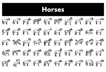 vector illustration of a set of horse icons on white background