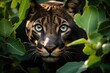Puma mythological emerges in the indigenous forest., generative IA