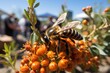 Bee at the Organic Fair, promoting sustainable pollination., generative IA