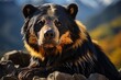 Andean bear in the South American mountains., generative IA