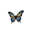 A butterfly with wings composed of blue, orange, and yellow.