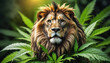 Reggae Lion On Marijuana Leaf Concept