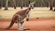 A Kangaroo With Its Ears Swiveling To Catch Sounds
