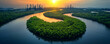 Mangrove forest on island surrounded by water with industrial skyline in distance under golden glow of setting sun juxtaposing natural beauty with industrial development