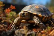 Earth turtle protects itself in your shell., generative IA
