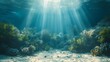 © nataliia_ptashka - Underwater background featuring a deep blue sea with beautiful light rays piercing through the water