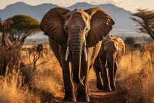 Safari Elephants, Lions And Giraffes In Nature., Generative IA