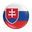 Slovakia flag icon - Euro 2024