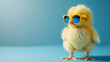 Cool cute little easter chick baby with sunglasses on blue background with copy space, greetings card design.