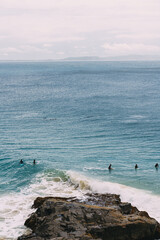 Canvas Print - A group of surfers are riding a wave in the ocean and dolphins