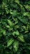 © phaloh - Green fern wallpaper