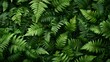 © phaloh - Green fern wallpaper