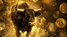 bitcoin bull run
