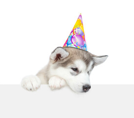 Wall Mural - Alaskan malamute puppy wearing party cap looks donw on empty space above empty white banner. isolated on white background