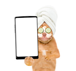 Fototapete - Mastiff puppy with towel on it head, with pieces of cucumber on it eyes and with cream on it face holds  big smartphone with white blank screen in it paw. isolated on white background