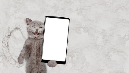Happy cat making snow angel while lying on snow and holding smartphone with white blank screen in it paw. Empty space for text