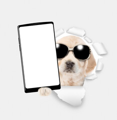 Poster - Cute Golden retriever puppy wearing sunglasses holds big smartphone with white blank screen through torn white paper hole. Empty free space for mock up