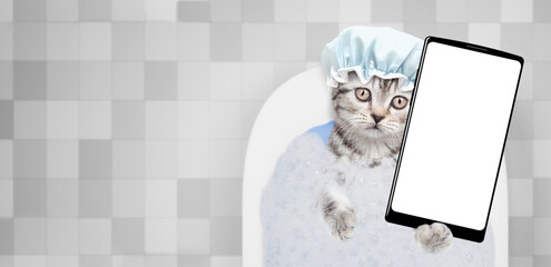 Fototapete - Cute kitten wearing shower cap takes the bath at home  and shows big smartphone with white blank screen in it paw. Top down view. Empty space for text