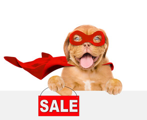 Wall Mural - Funny Mastiff puppy wearing superhero costume looking above empty white banner and  shows signboard with labeled 