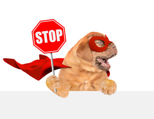 Wall Mural - Funny Mastiff puppy wearing superhero costume showing stop sign above empty white banner. Isolated on white background