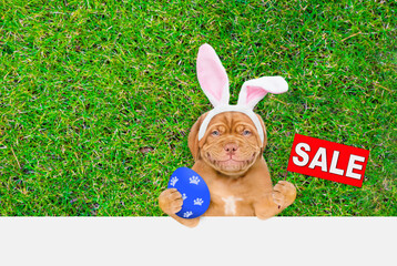 Aufkleber - Smiling Mastiff puppy wearing easter rabbits ears holds painted easter egg and shows signboard with labeled 