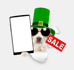 Poster - Saint Patrick's Day concept. Golden retriever puppy wearing green leprechauns top hat holding big smartphone with white blank screen and showing signboard with labeled 