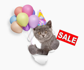 Aufkleber - Funny kitten wearing party cap looks through a hole in white paper, holding balloons and showing signboard with labeled 