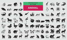 76 Solid Icons For Animal  Set In Fill Style. Excellent Icons Collection. Vector Illustration. 