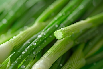 Wall Mural - Detailed close-up of a cluster of fresh and vibrant green asparagus spears
