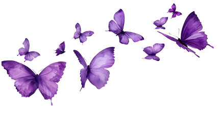 Soaring purple butterflies isolated on transparent background