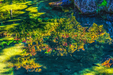 Wall Mural - Fall Leaves Garden Reflection Ginkakuji Silver Pavilion Temple Kyoto Japan