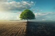 This conceptual image portrays the stark difference between a thriving, green field and a dry, desolate area, with a resilient tree symbolizing growth and vitality amidst the changing environmental 