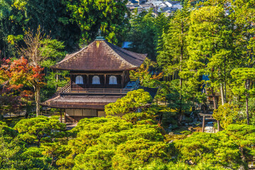 Wall Mural - Colorful Ginkakuji Silver Pavilion Tori Gate Buddhist Temple Kyoto Japan