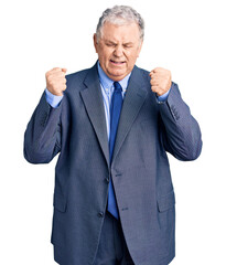 Canvas Print - Senior grey-haired man wearing business jacket excited for success with arms raised and eyes closed celebrating victory smiling. winner concept.