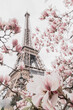 Eiffel tower. Blooming magnolia tree