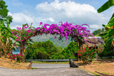 Fototapeta  - Arch of purple flowers  in Thailand