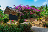 Fototapeta  - Arch of purple flowers  in Thailand