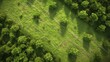 Rural vista: Aerial preview showcases lush green fields in agro culture. Top-down drone view captures scenic pastures and meadows, perfect for agricultural promotions with stunning realism.