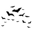 © G - Silhouettes of flying bats