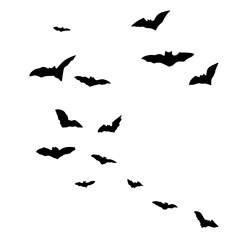 Silhouettes of flying bats