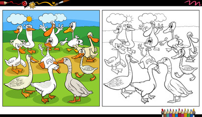 Canvas Print - cartoon geese birds farm animal characters group coloring page