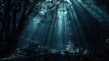 Spooky Forest View With Sun Rays From Trees 